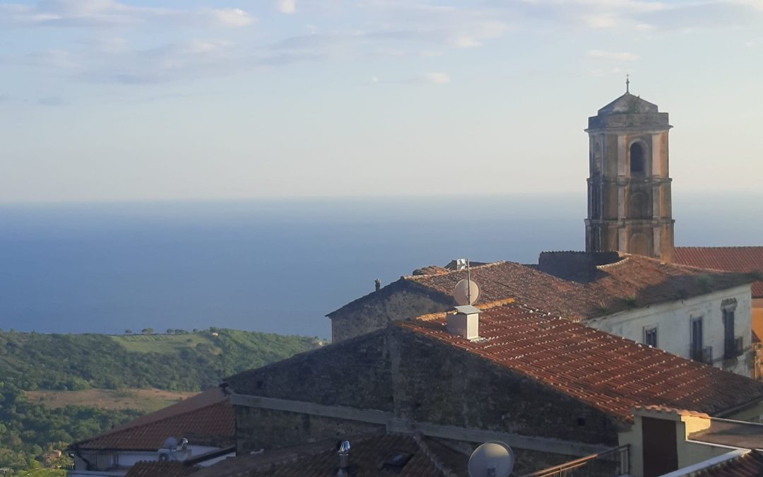 Pollica